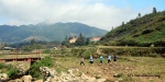 Local children walking near Sapa Town